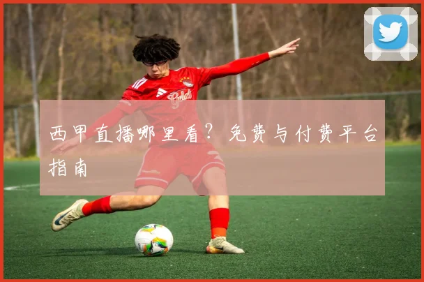 西甲直播哪里看?免费与付费平台指南
