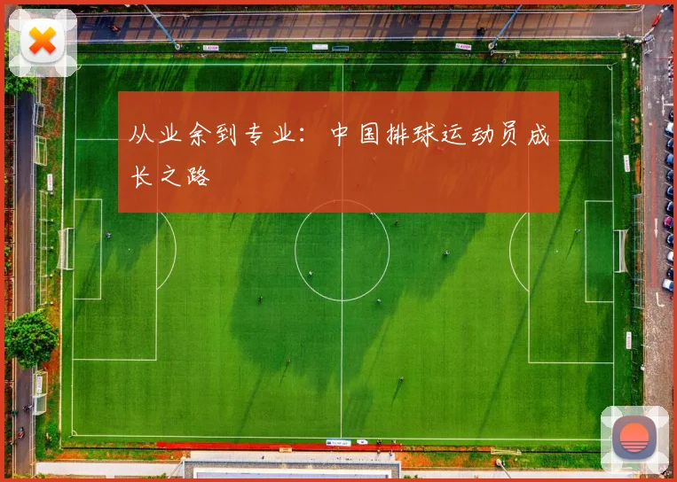 从业余到专业:中国排球运动员成长之路