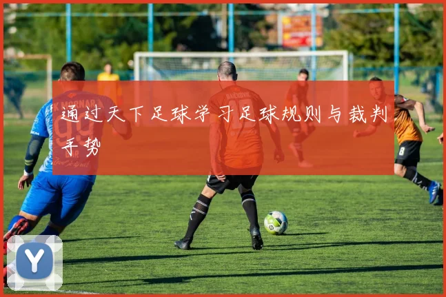 通过天下足球学习足球规则与裁判手势