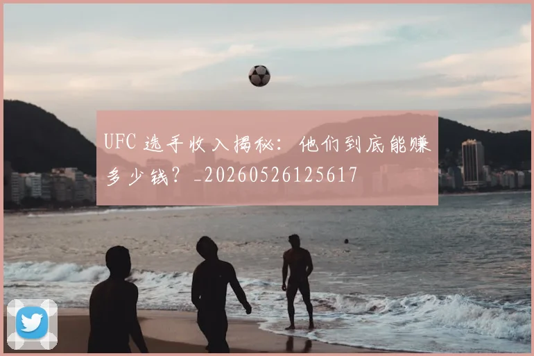UFC 选手收入揭秘：他们到底能赚多少钱？_20260526125617
