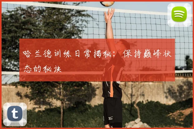哈兰德训练日常揭秘：保持巅峰状态的秘诀